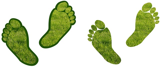 green foot prints eco system